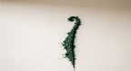 espirulina aloe