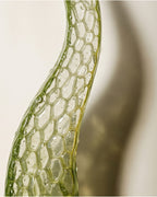 Bálsamo de Calma — Crema Corporal Hidratante con Aloe Vera + Aceite de Argán